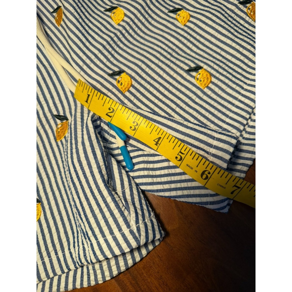 Warren Webber Beachwear Swim Trunks Men's M Lemon Embroidered Striped Shorts - Picture 4 of 7
